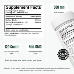 Bloofah GB Ginkgo Biloba Capsules 500mg | Ginkgo biloba Leaf Extract | 120 Capsules