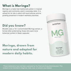 Bloofah MG – Moringa Capsules 500mg | Nutrition & Daily Vitality Support (120 Capsules)