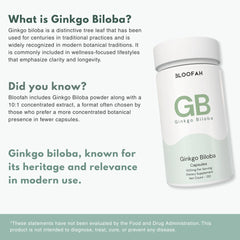 Bloofah GB – Ginkgo Biloba Capsules 500mg | Focus & Mental Clarity Support (120 Capsules)