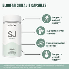 Bloofah SJ – Shilajit Capsules 500mg | Energy & Vitality Support (120 Capsules)