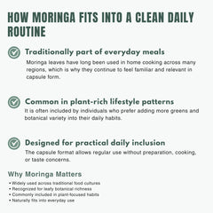 Bloofah MG – Moringa Capsules 500mg | Nutrition & Daily Vitality Support (120 Capsules)