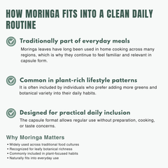 Bloofah MG – Moringa Capsules 500mg | Nutrition & Daily Vitality Support (120 Capsules)