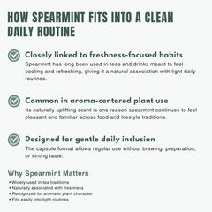 Bloofah SL – Spearmint Capsules 1000mg | Digestion & Freshness Support (120 Capsules)