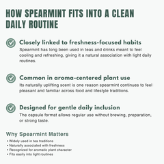 Bloofah SL – Spearmint Capsules 1000mg | Digestion & Freshness Support (120 Capsules)
