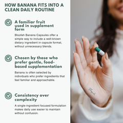 Bloofah BN Banana Capsules 500mg | Musa spp. Fruit Extract | 120 Capsules