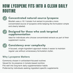 Bloofah LY Lycopene Supplement Capsules 500mg | Tomato Fruit 10:1 Concentrated Extract – Antioxidant Support (120 Capsules)