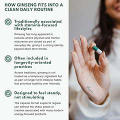 Bloofah GN Ginseng Capsules 1000mg | Panax ginseng Root | 120 Capsules
