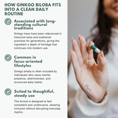 Bloofah GB Ginkgo Biloba Capsules 500mg | Ginkgo biloba Leaf Extract | 120 Capsules