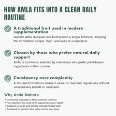 Bloofah AF – Amla Capsules 500mg (Indian Gooseberry) | 120 Capsules