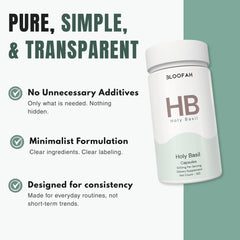 Bloofah HB – Holy Basil Capsules 500mg | Stress & Immunity Support (120 Capsules)