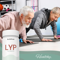 Bloofah LYP – Lycopene Capsules 500mg | Antioxidant Support from Tomato Fruit (120 Capsules)