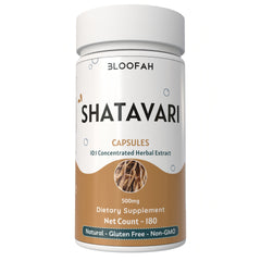 Bloofah Shatavari Root Capsules 500mg | 10:1 Extract Powder Eq. to 5000mg | Premium Herbal Supplement | Natural Asparagus racemosus for General Vitality | Non-GMO, Gluten-Free