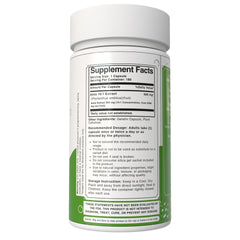 Bloofah Amla Fruit Extract Supplement - 100% Pure Herbal Capsules 500mg