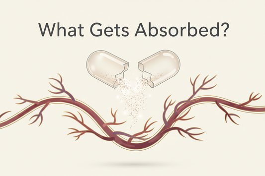 What Is Bioavailability? Why It Matters in Supplements