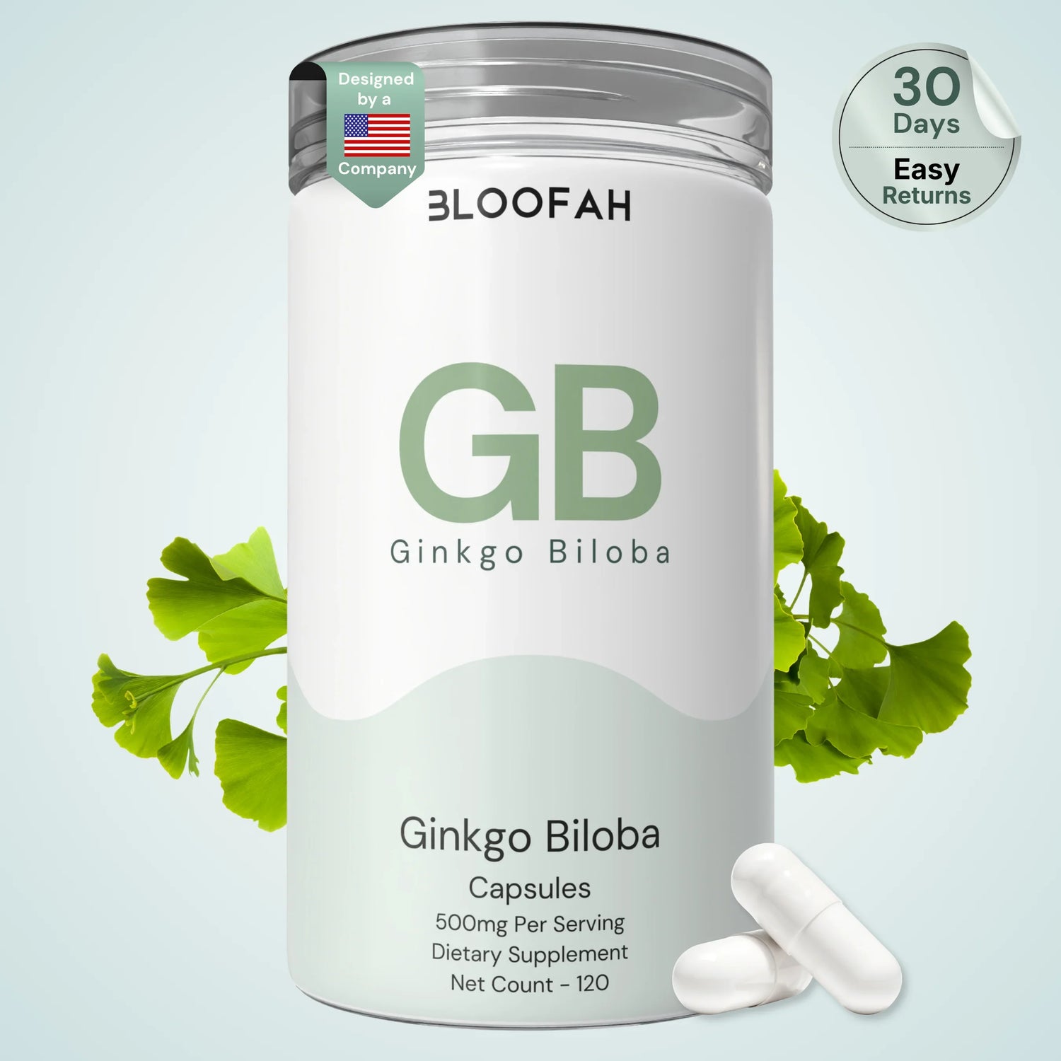 Bloofah GB Ginkgo Biloba Capsules 500mg | Ginkgo biloba Leaf Extract | 120 Capsules