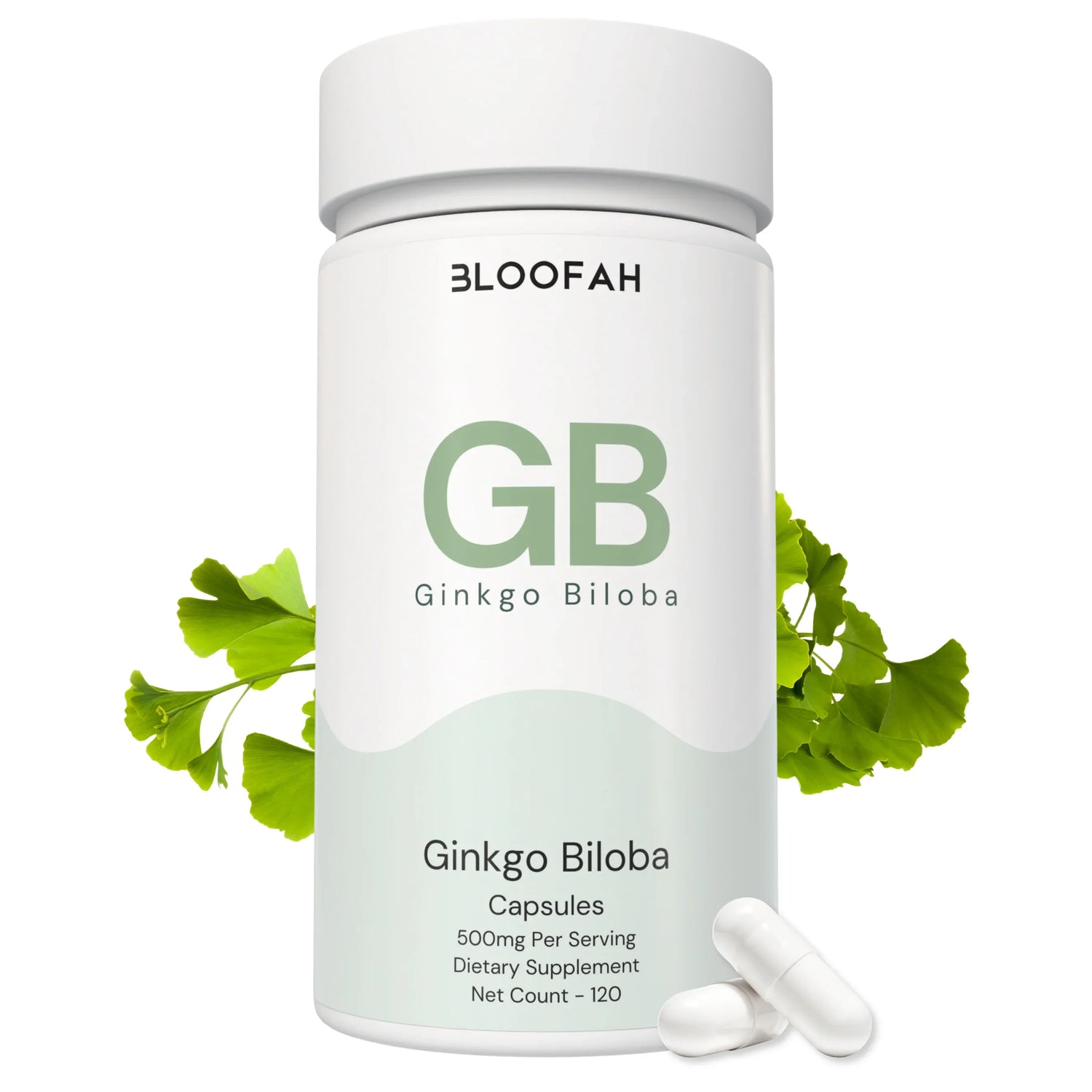 Bloofah GB Ginkgo Biloba Capsules 500mg | Ginkgo biloba Leaf Extract | 120 Capsules
