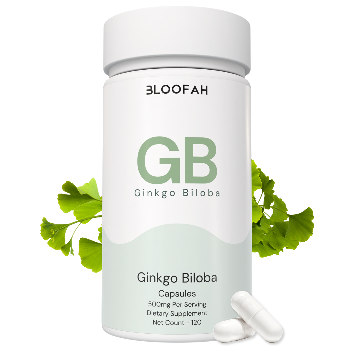 Bloofah GB Ginkgo Biloba Capsules 500mg | Ginkgo biloba Leaf Extract | 120 Capsules