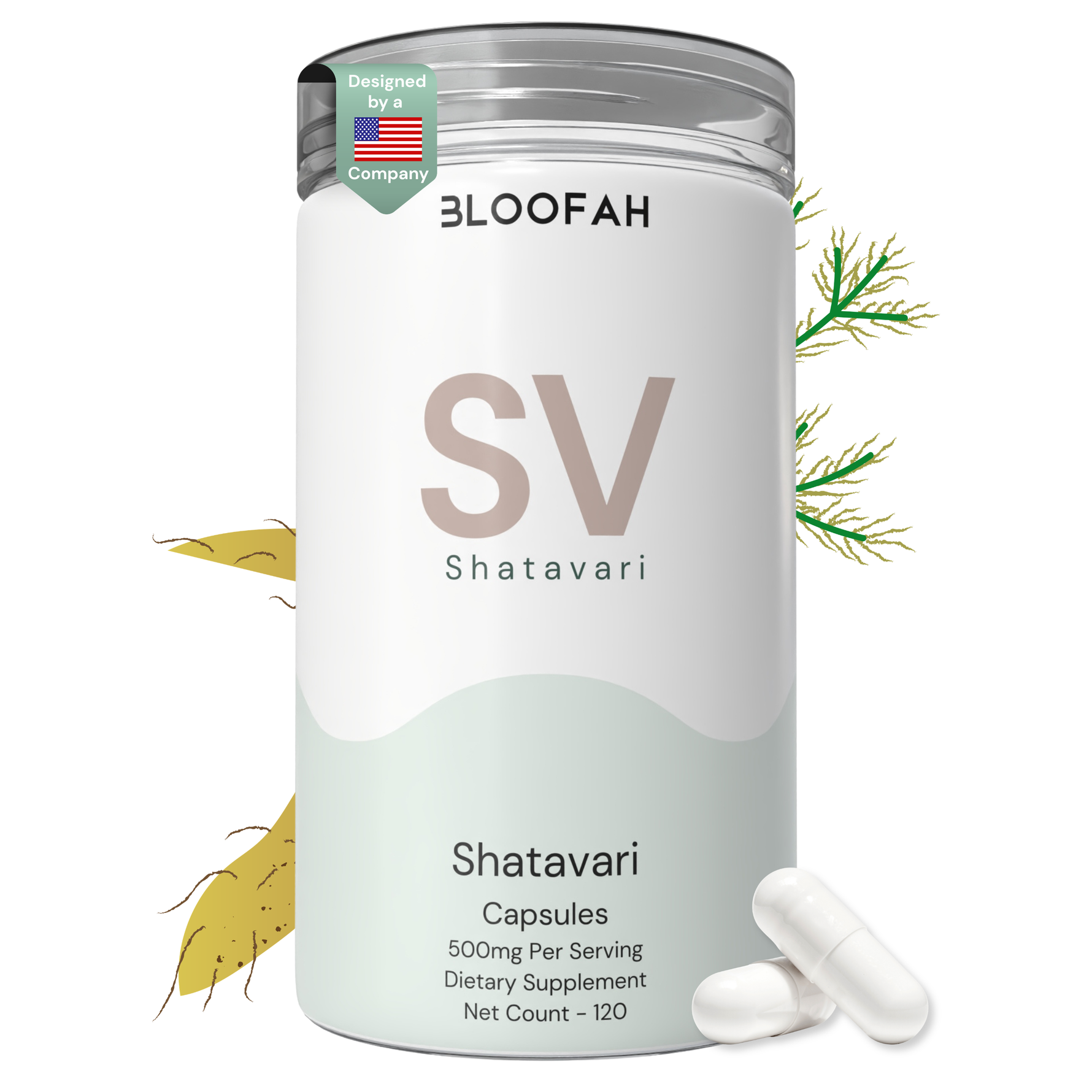 Bloofah SV Shatavari Capsules 500mg | Asparagus racemosus Root Extract | 120 Capsules