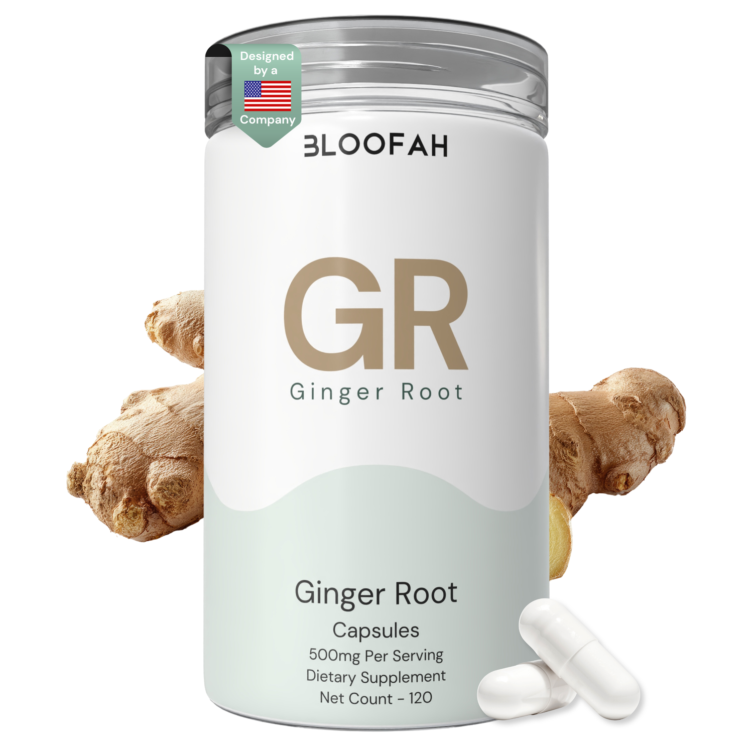 Bloofah GR Ginger Root Capsules 500mg | Zingiber officinale Extract | 120 Capsules