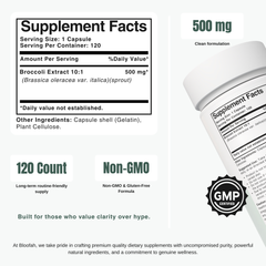 Bloofah BS Broccoli Sprout Capsules 500mg | Sulforaphane-Rich Brassica Extract | 120 Capsules