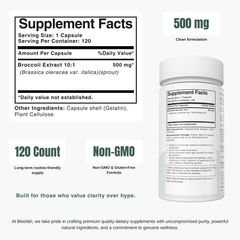 Bloofah BS – Broccoli Sprout Capsules 500mg | Cellular & Antioxidant Support (120 Capsules)
