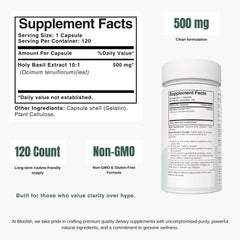 Bloofah HB – Holy Basil Capsules 500mg | Stress & Immunity Support (120 Capsules)