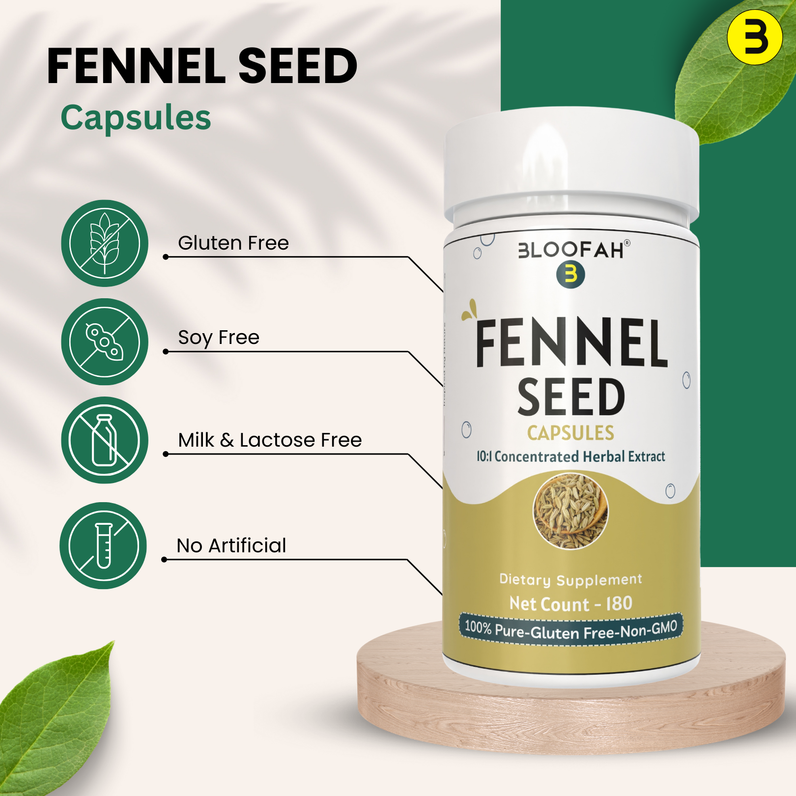 Bloofah Fennel Seed Capsules 500mg | 100% Pure Fennel Seed Extract 10:1 (Foeniculum vulgare) Powder | Non-GMO, Gluten Free Formula for Overall Health Supplement