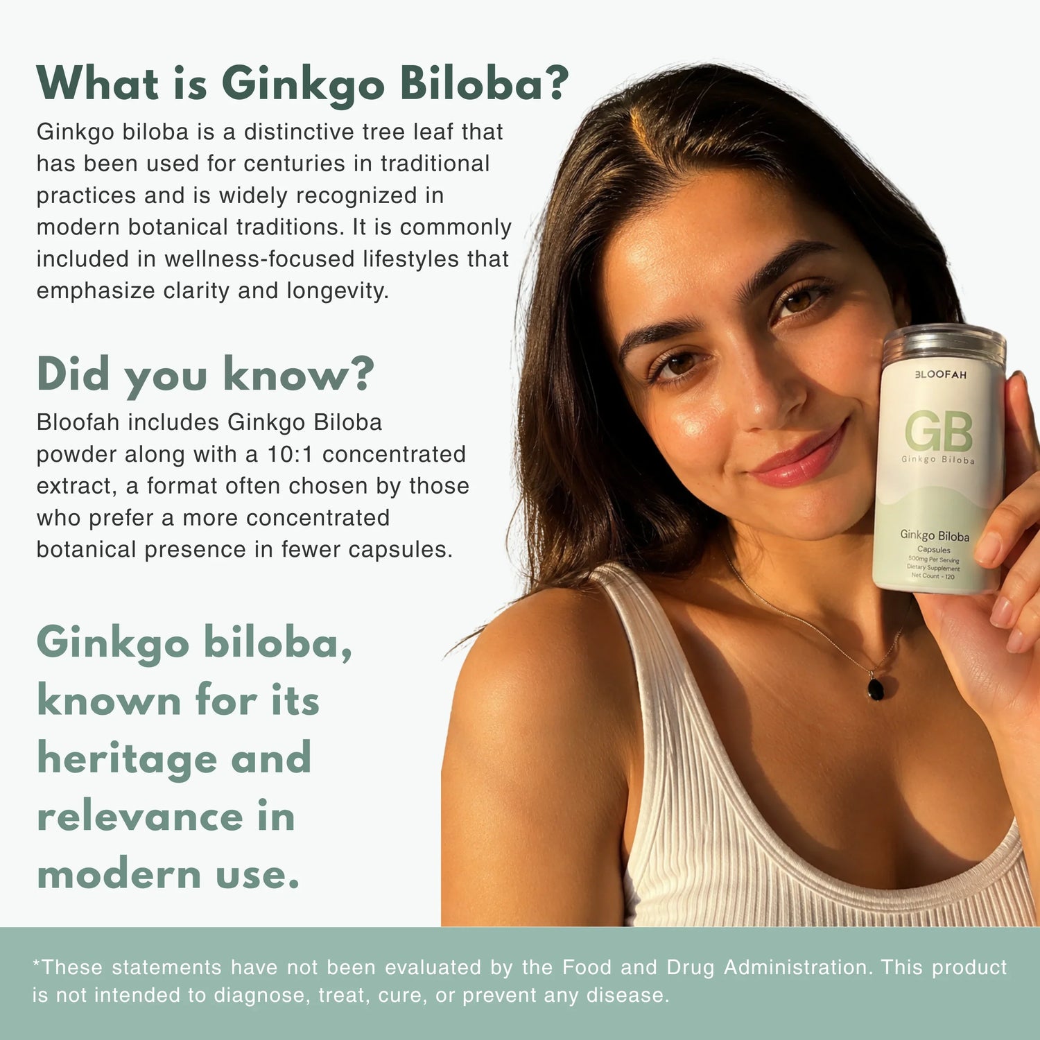 Bloofah GB Ginkgo Biloba Capsules 500mg | Ginkgo biloba Leaf Extract | 120 Capsules