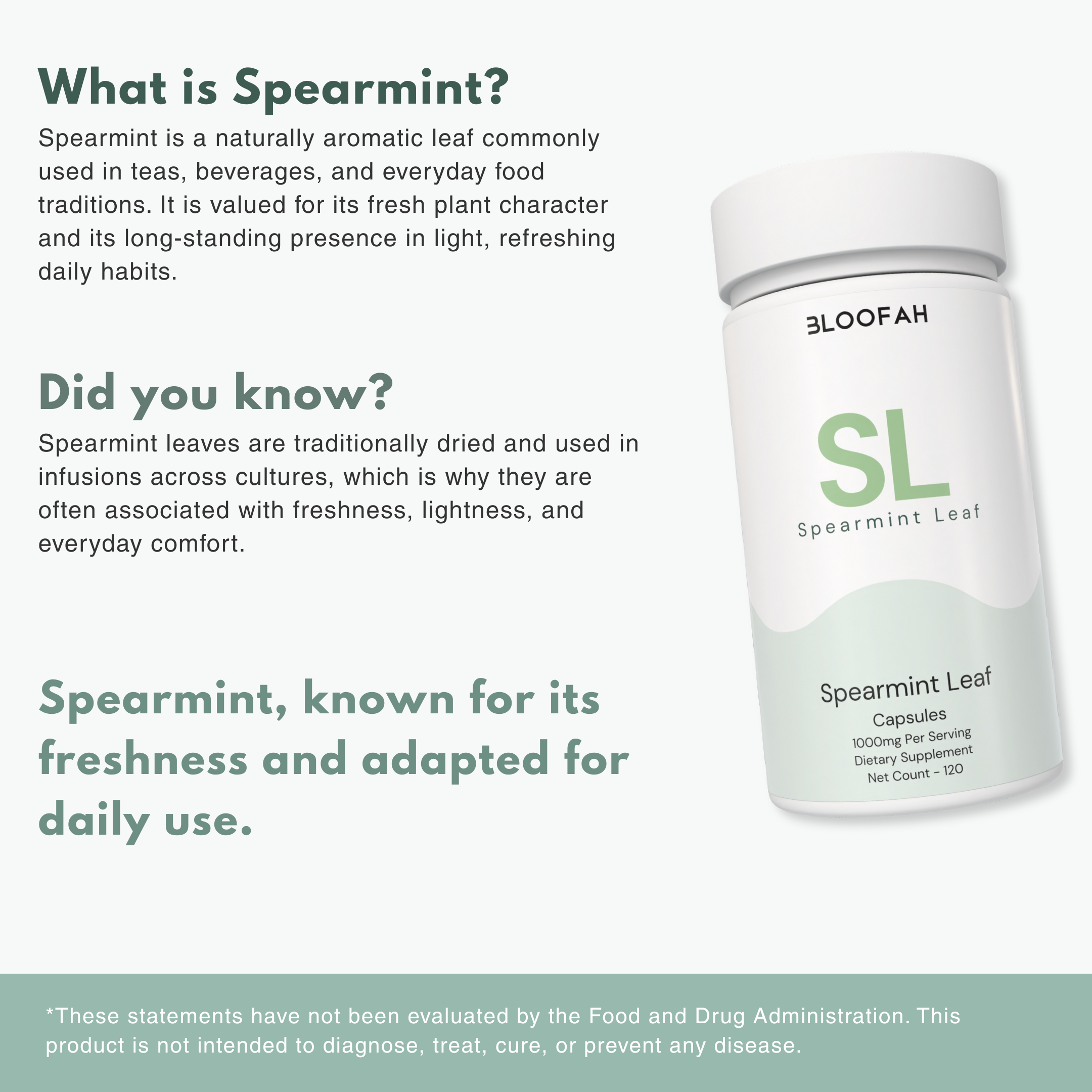 Bloofah SL – Spearmint Capsules 1000mg | Digestion & Freshness Support (120 Capsules)