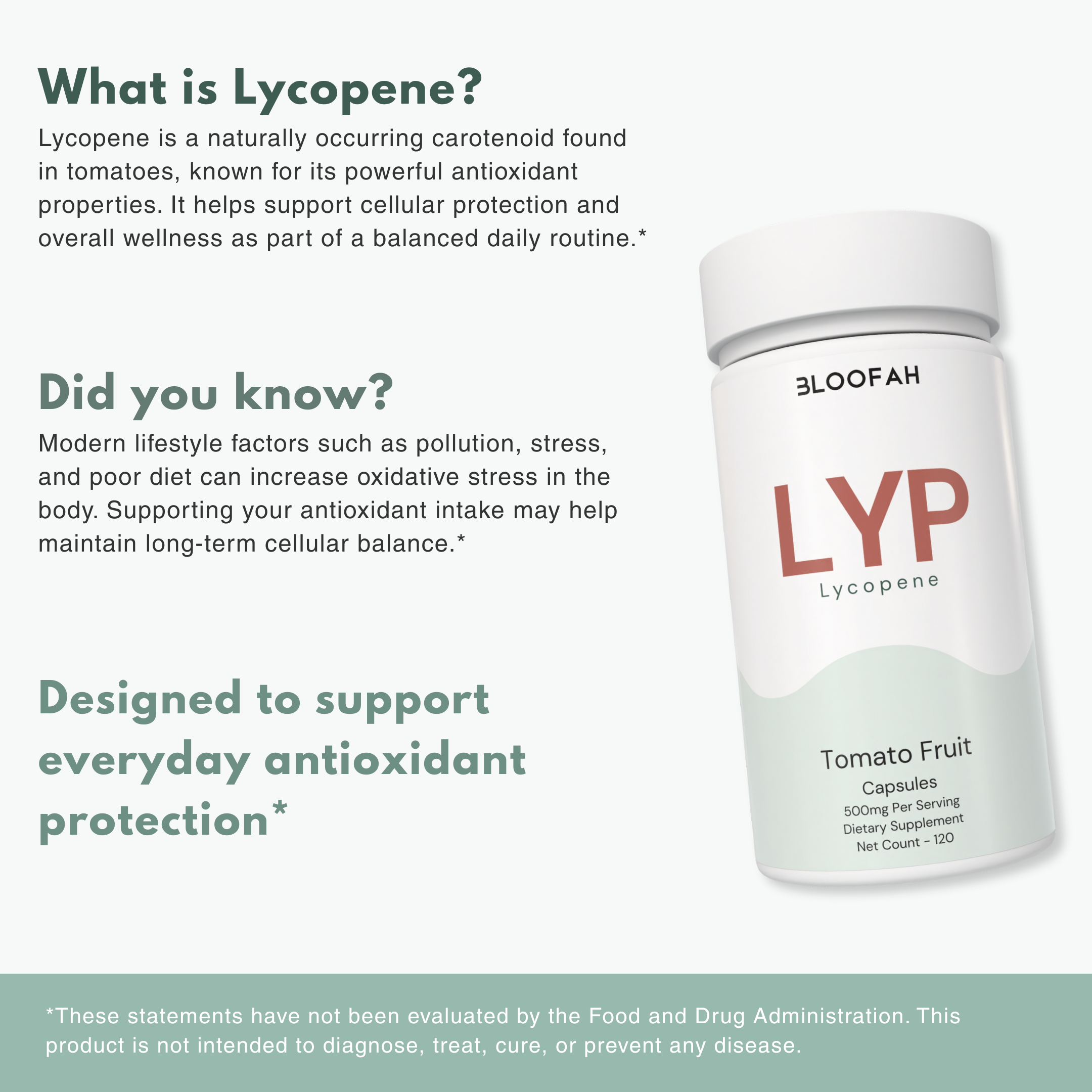 Bloofah LYP – Lycopene Capsules 500mg | Antioxidant Support from Tomato Fruit (120 Capsules)