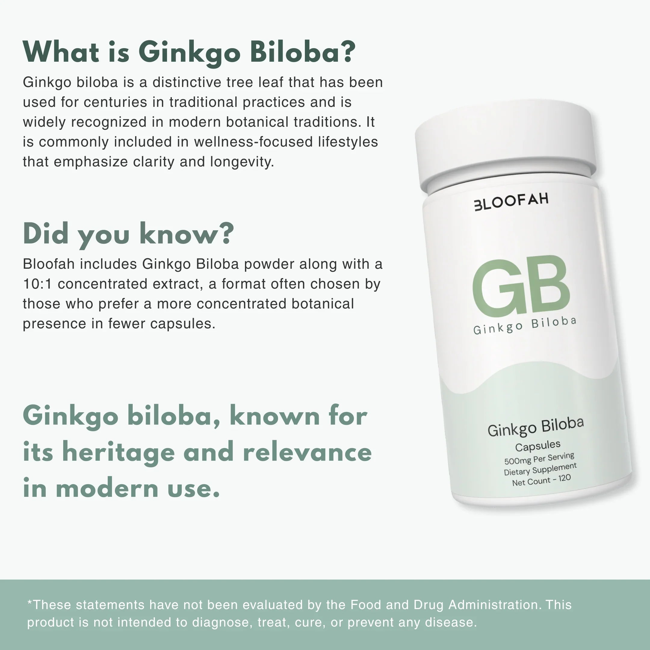 Bloofah GB – Ginkgo Biloba Capsules 500mg | Focus & Mental Clarity Support (120 Capsules)