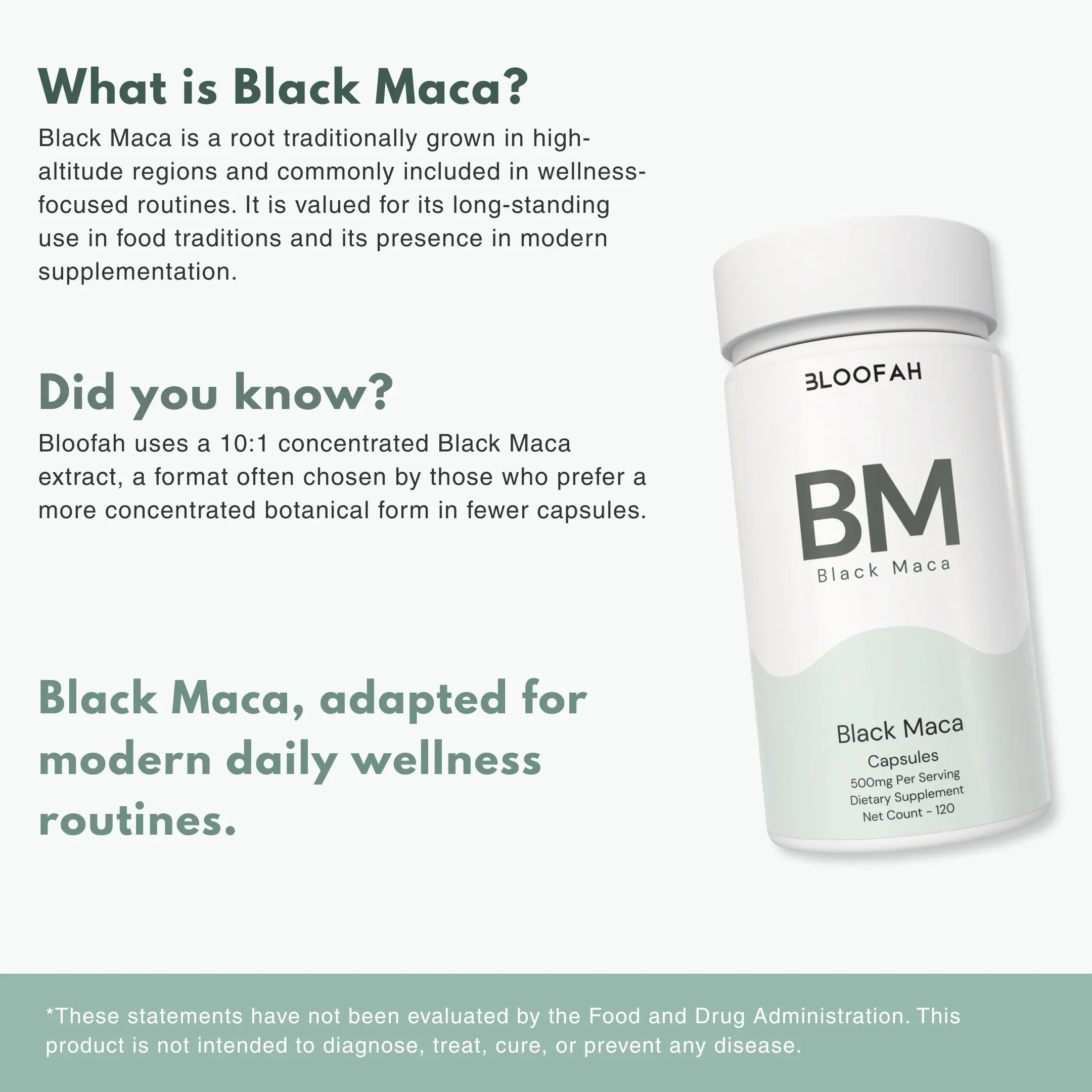 Bloofah BM – Black Maca Capsules 500mg | Energy & Vitality Support (120 Capsules)