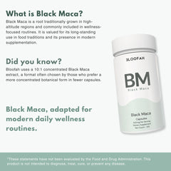 Bloofah BM – Black Maca Capsules 500mg | Energy & Vitality Support (120 Capsules)