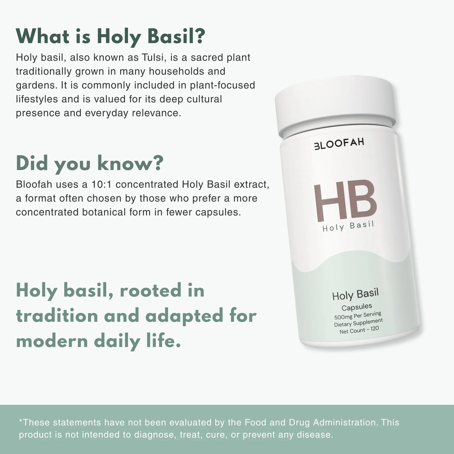 Bloofah HB Holy Basil Capsules 500mg | Ocimum tenuiflorum (Tulsi) Extract | 120 Capsules