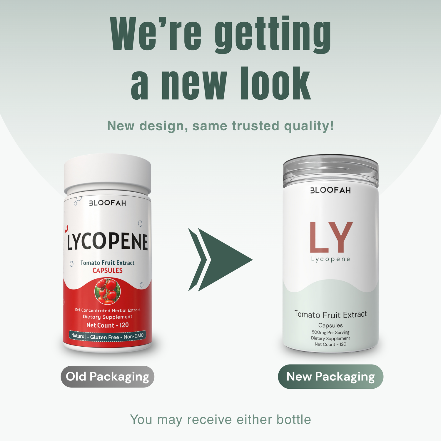 Bloofah LY Lycopene Supplement 500mg | Tomato Fruit Extract Capsules | Rich in Naturally Occuring Lycopene
