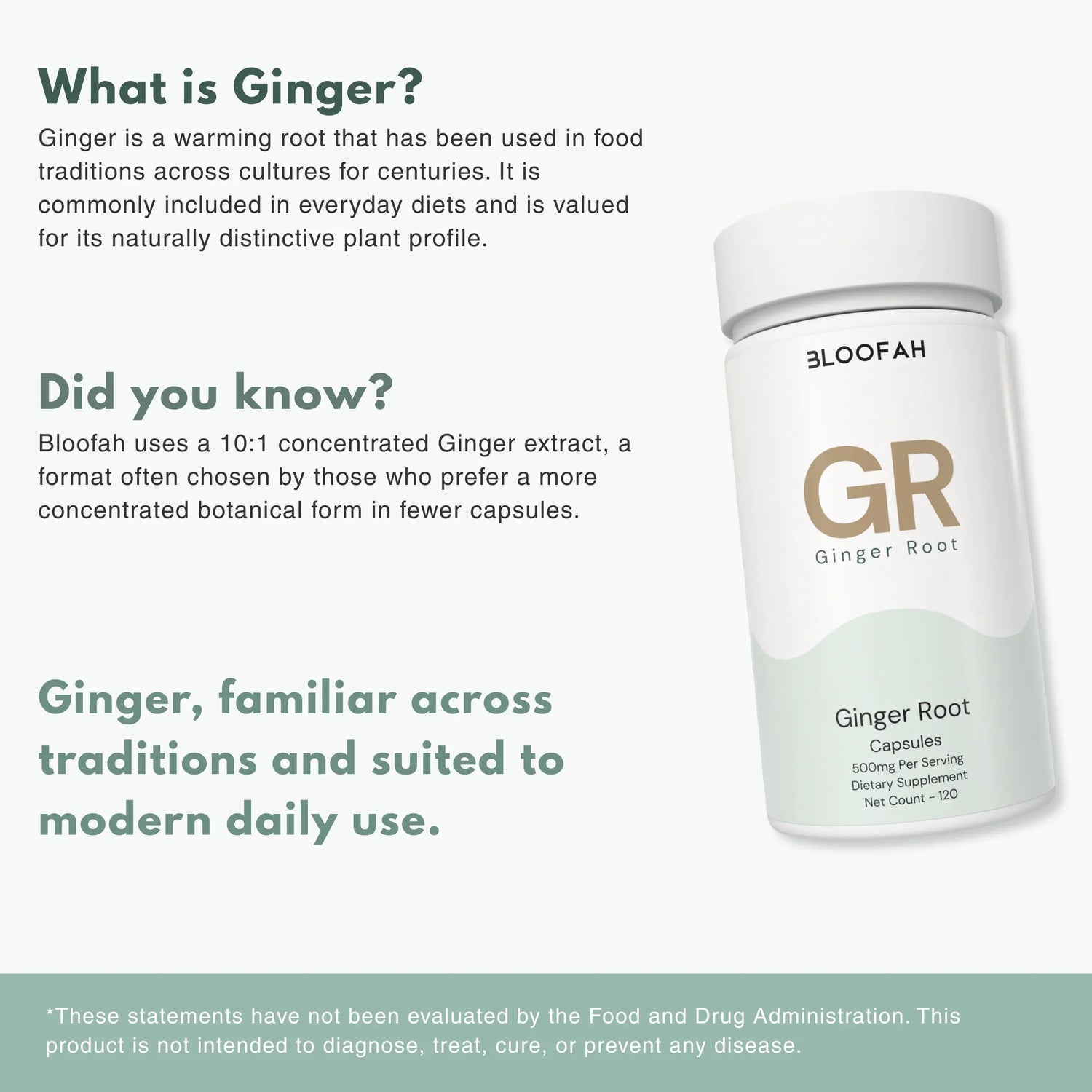 Bloofah GR Ginger Root Capsules 500mg | Zingiber officinale Extract | 120 Capsules