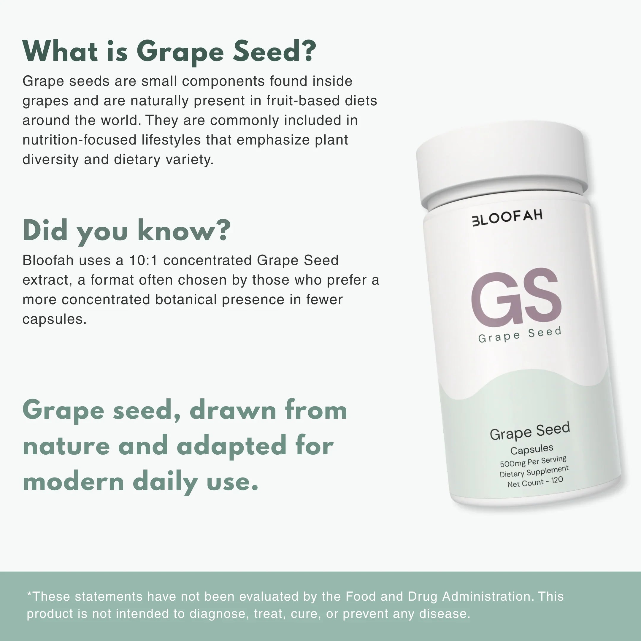 Bloofah GS – Grape Seed Capsules 500mg | Antioxidant & Skin Support (120 Capsules)