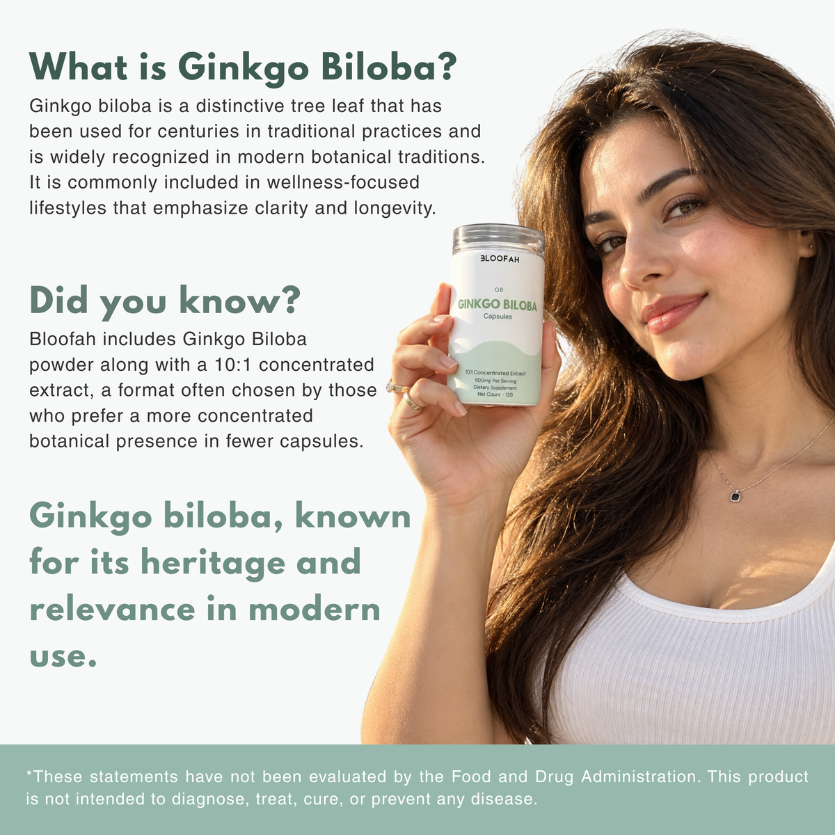 Bloofah GB Ginkgo Biloba Capsules 500mg | Ginkgo biloba Leaf Extract | 120 Capsules