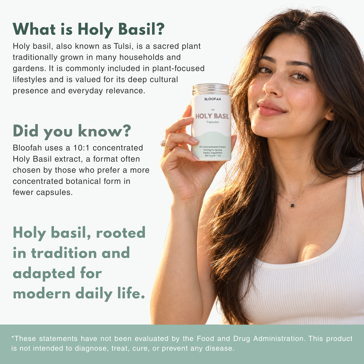 Bloofah HB Holy Basil Capsules 500mg | Ocimum tenuiflorum (Tulsi) Extract | 120 Capsules