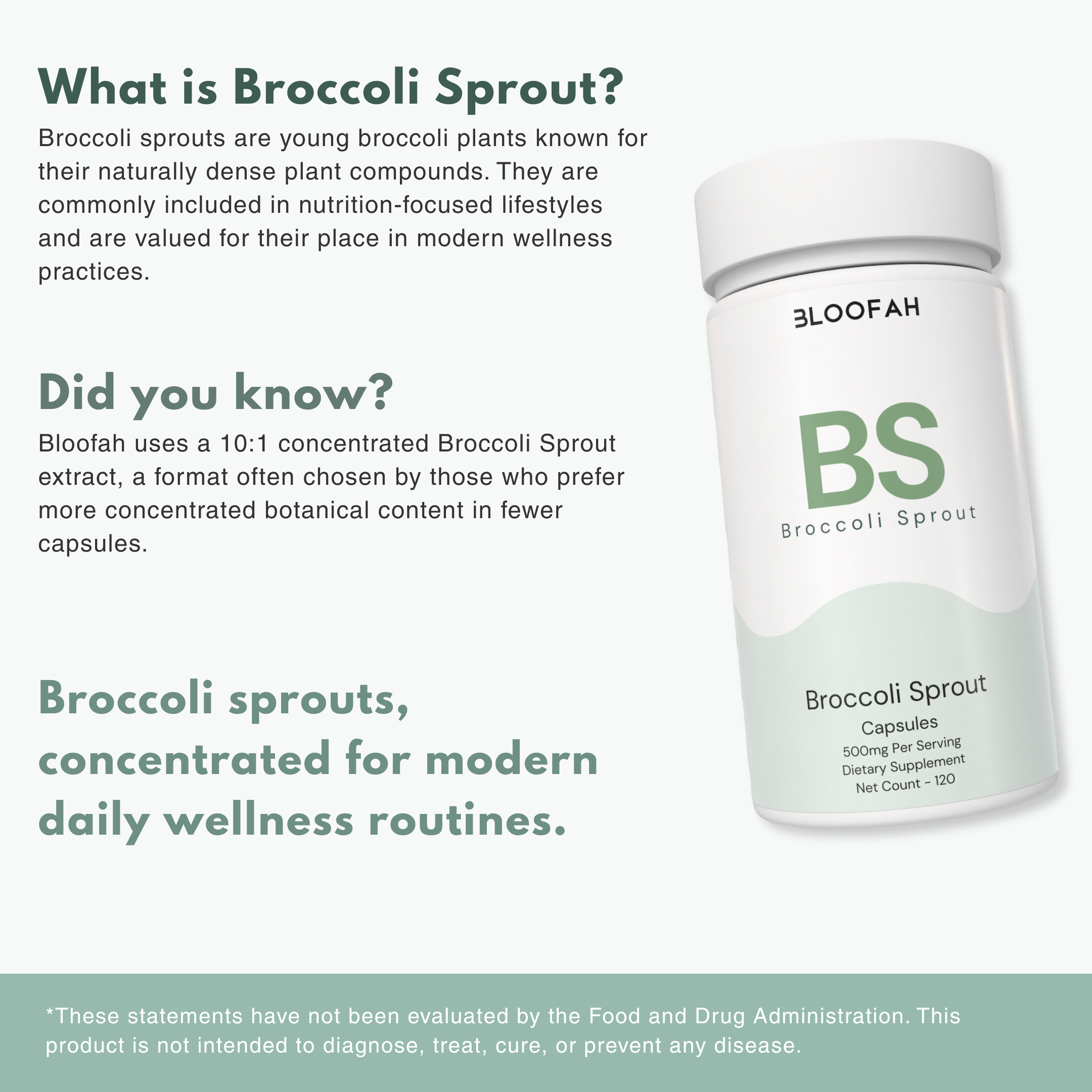 Bloofah BS – Broccoli Sprout Capsules 500mg | Cellular & Antioxidant Support (120 Capsules)
