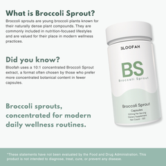 Bloofah BS – Broccoli Sprout Capsules 500mg | Cellular & Antioxidant Support (120 Capsules)