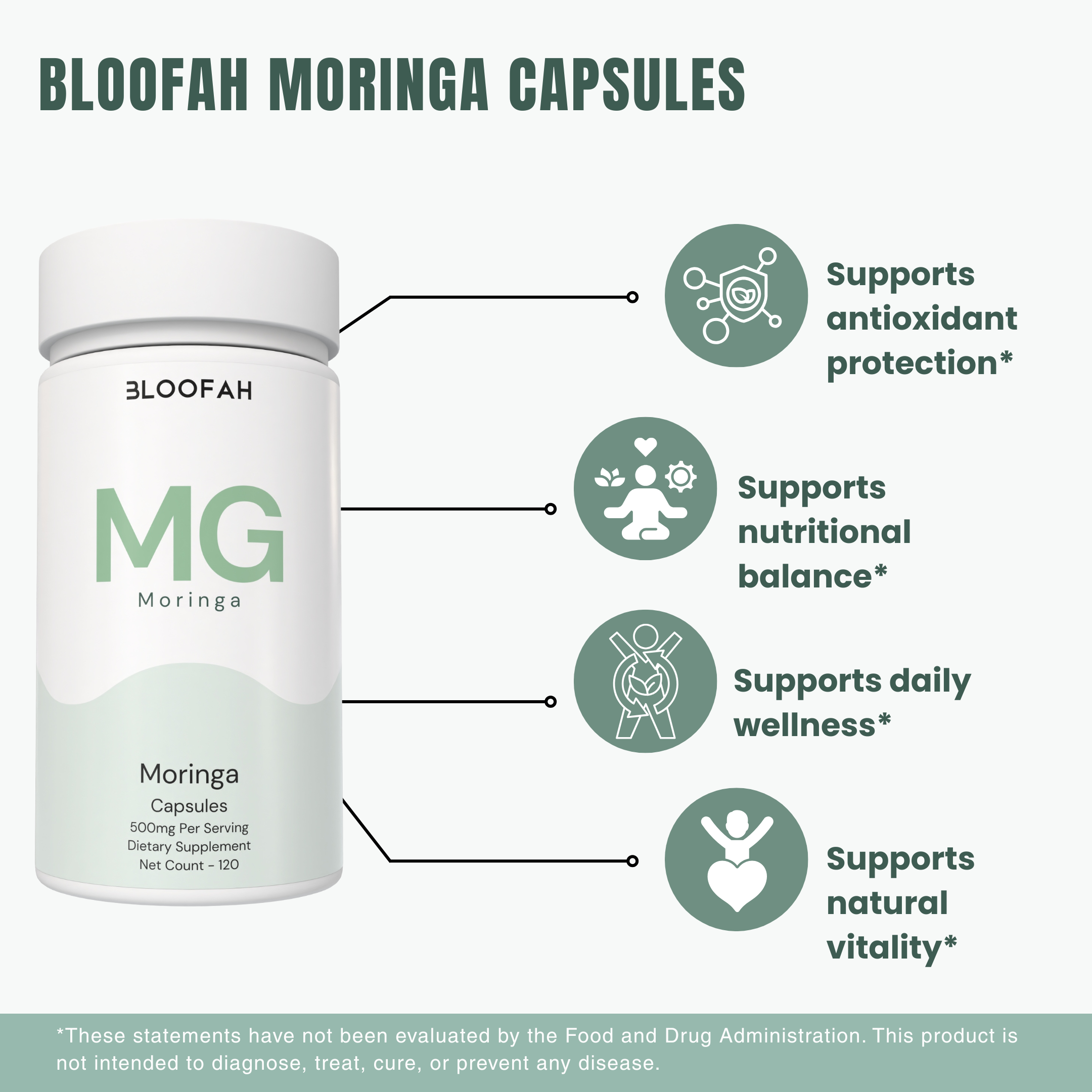 Bloofah MG – Moringa Capsules 500mg | Nutrition & Daily Vitality Support (120 Capsules)