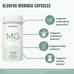 Bloofah MG – Moringa Capsules 500mg | Nutrition & Daily Vitality Support (120 Capsules)