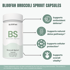Bloofah BS – Broccoli Sprout Capsules 500mg | Cellular & Antioxidant Support (120 Capsules)