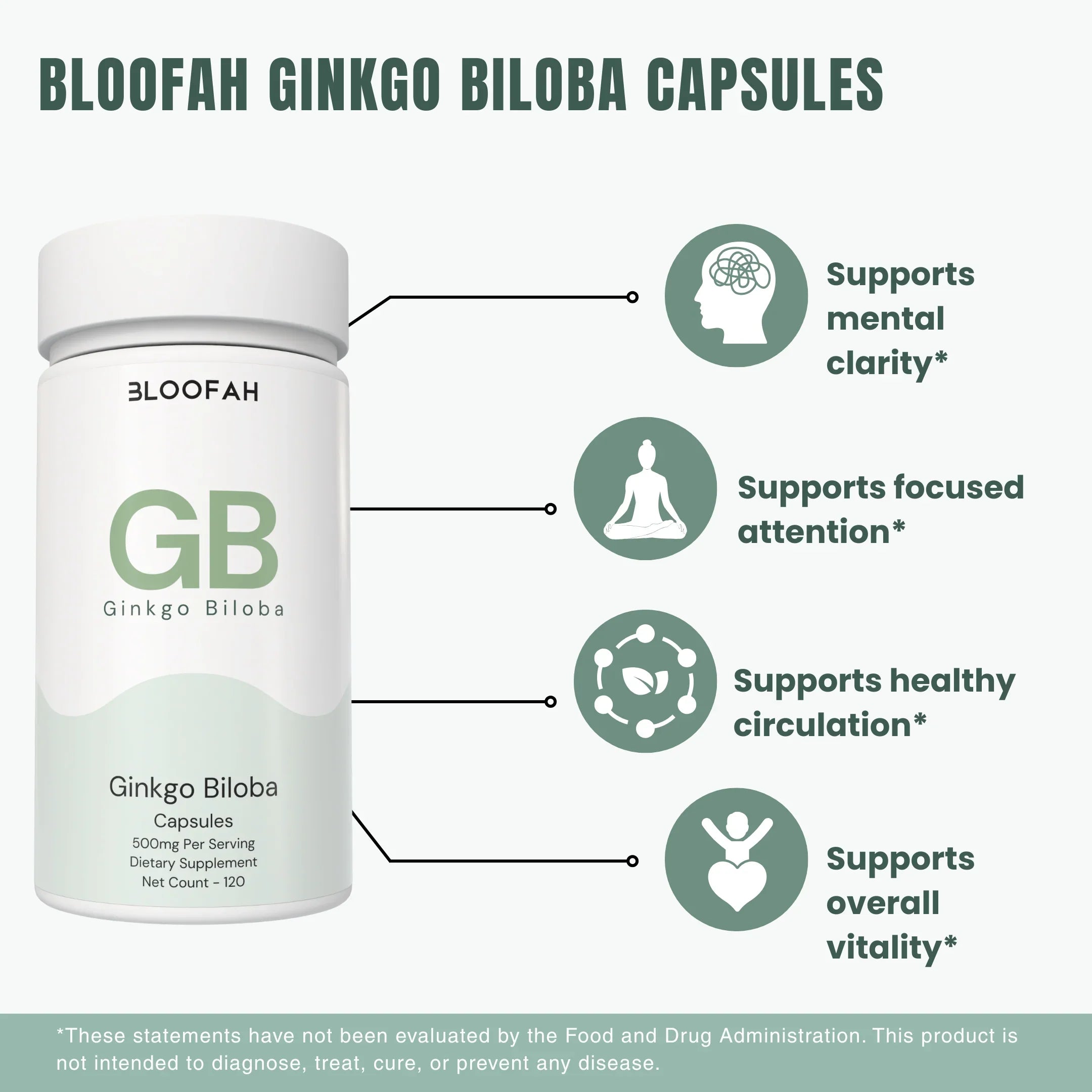 Bloofah GB – Ginkgo Biloba Capsules 500mg | Focus & Mental Clarity Support (120 Capsules)