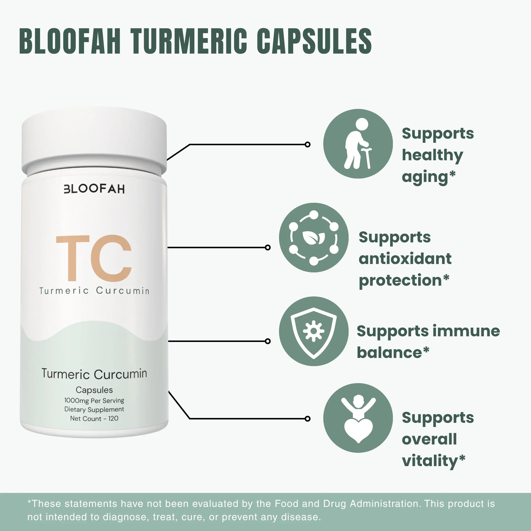 Bloofah TC – Turmeric Capsules 1000mg | Joint Comfort & Antioxidant Support (120 Capsules)
