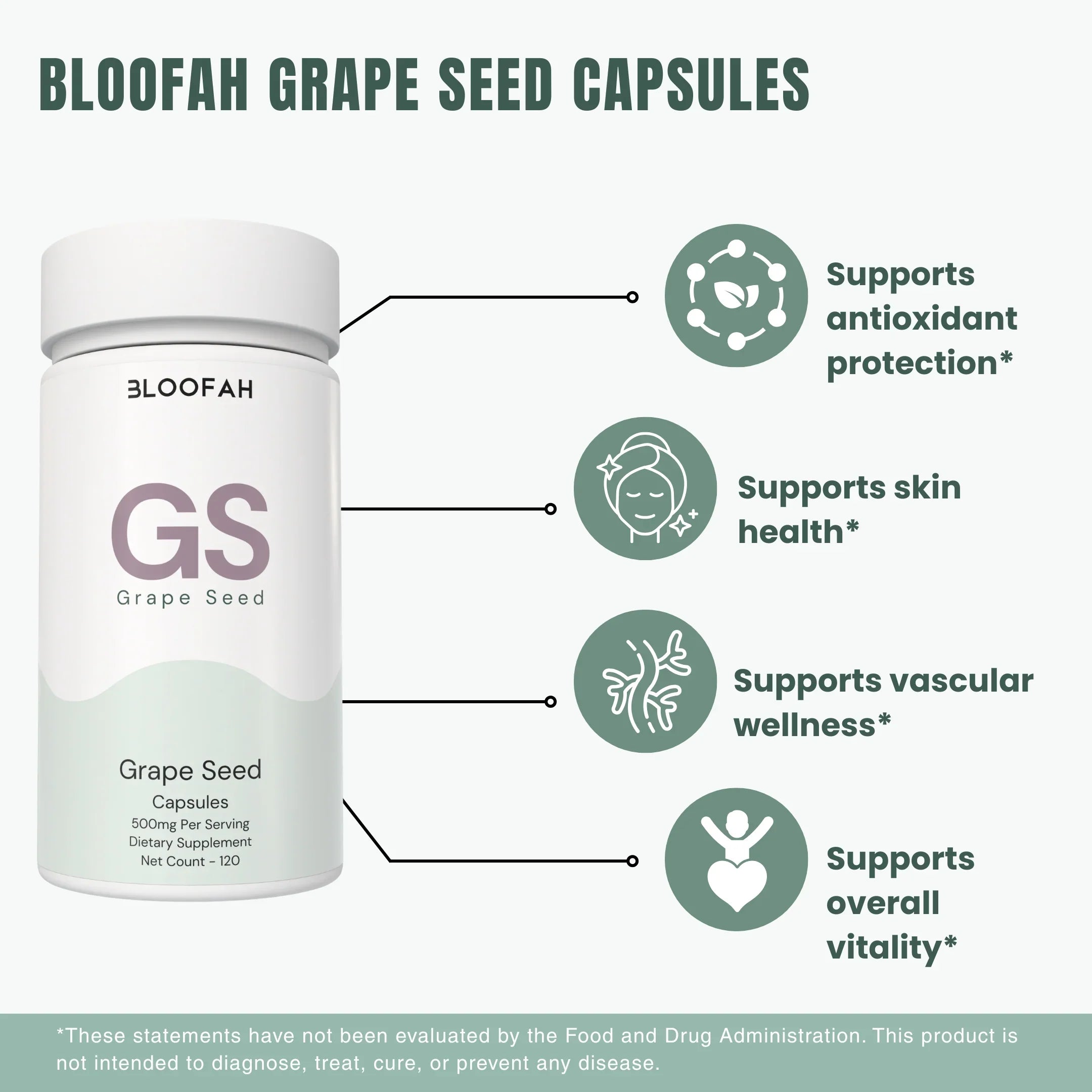 Bloofah GS – Grape Seed Capsules 500mg | Antioxidant & Skin Support (120 Capsules)