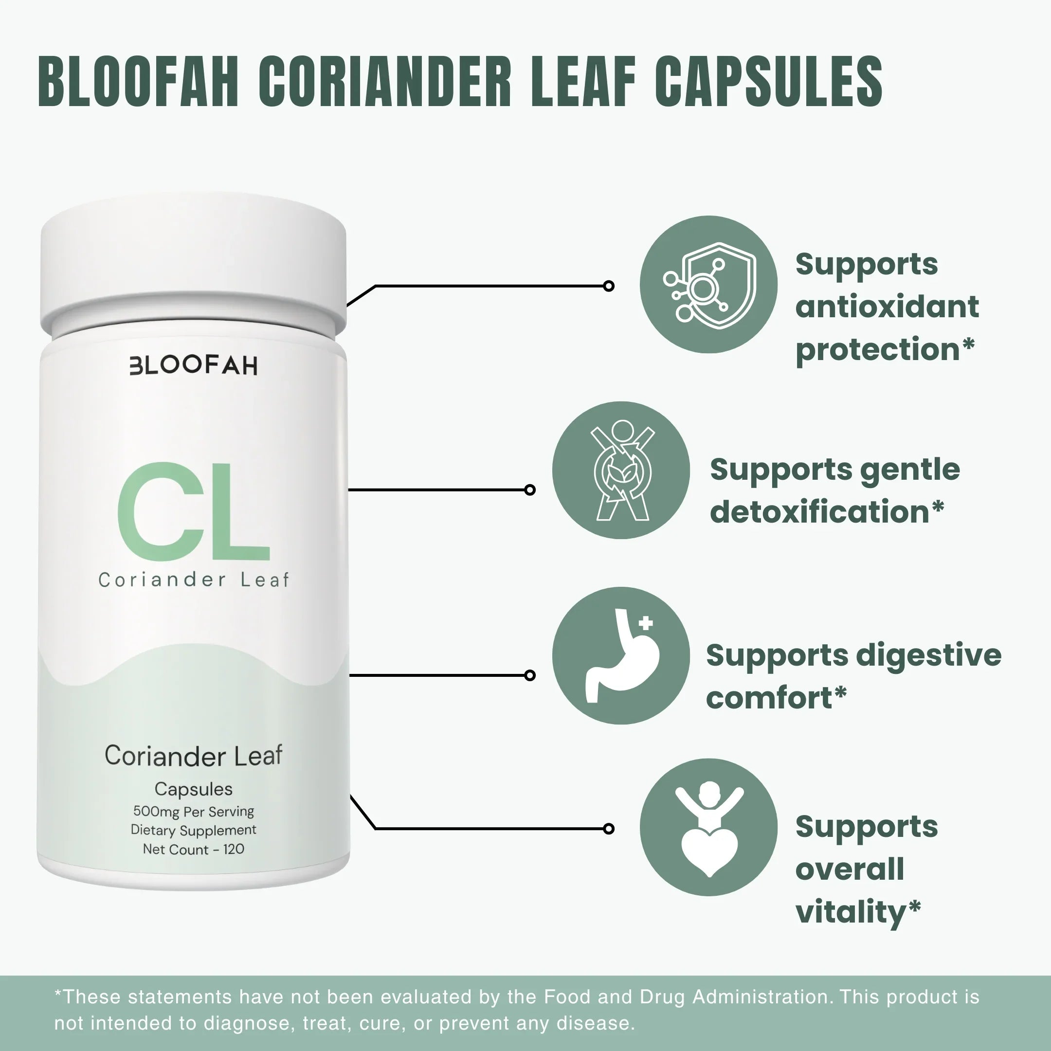 Bloofah CL – Coriander Leaf Capsules 500mg | Digestion & Detox Support (120 Capsules)