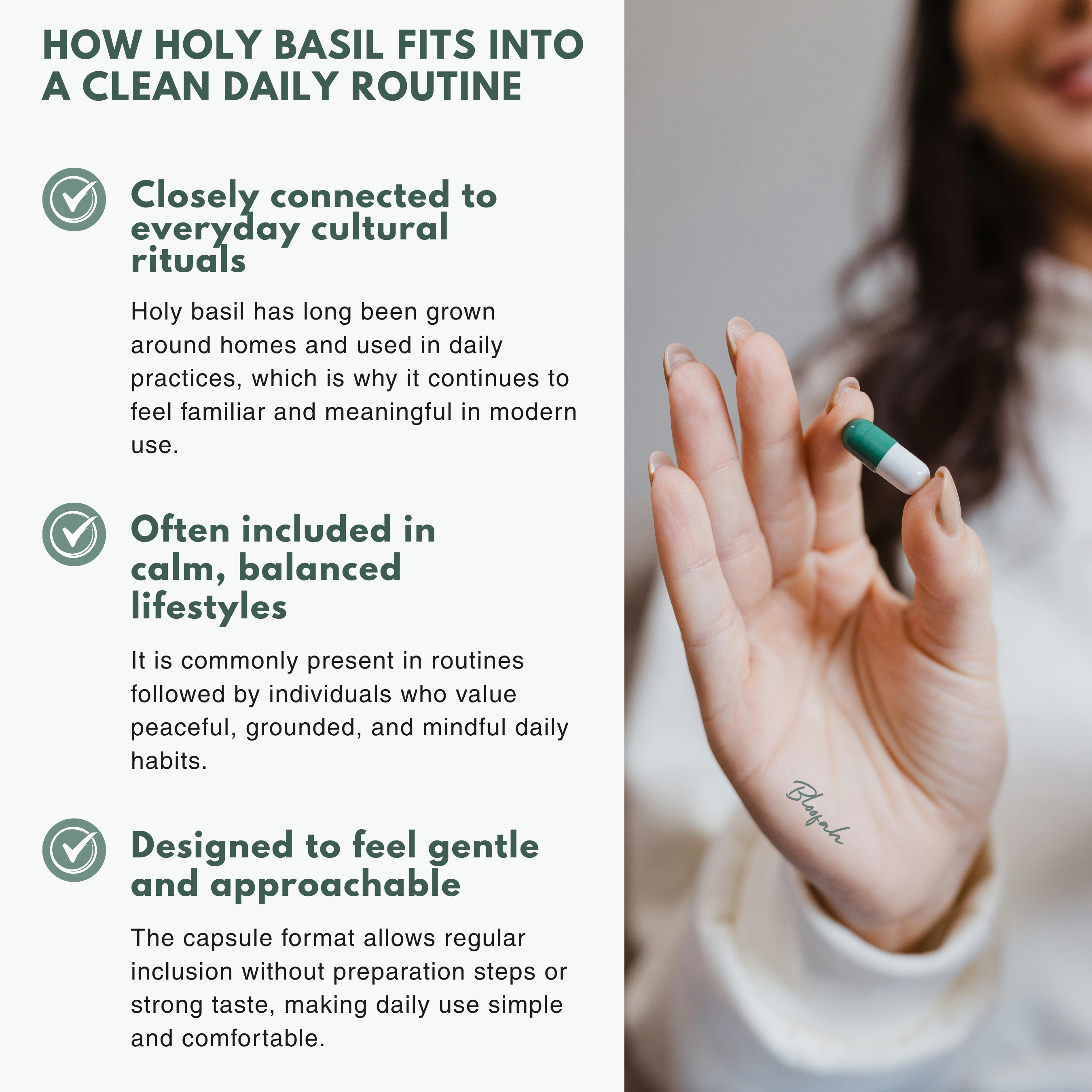 Bloofah HB Holy Basil Capsules 500mg | Ocimum tenuiflorum (Tulsi) Extract | 120 Capsules