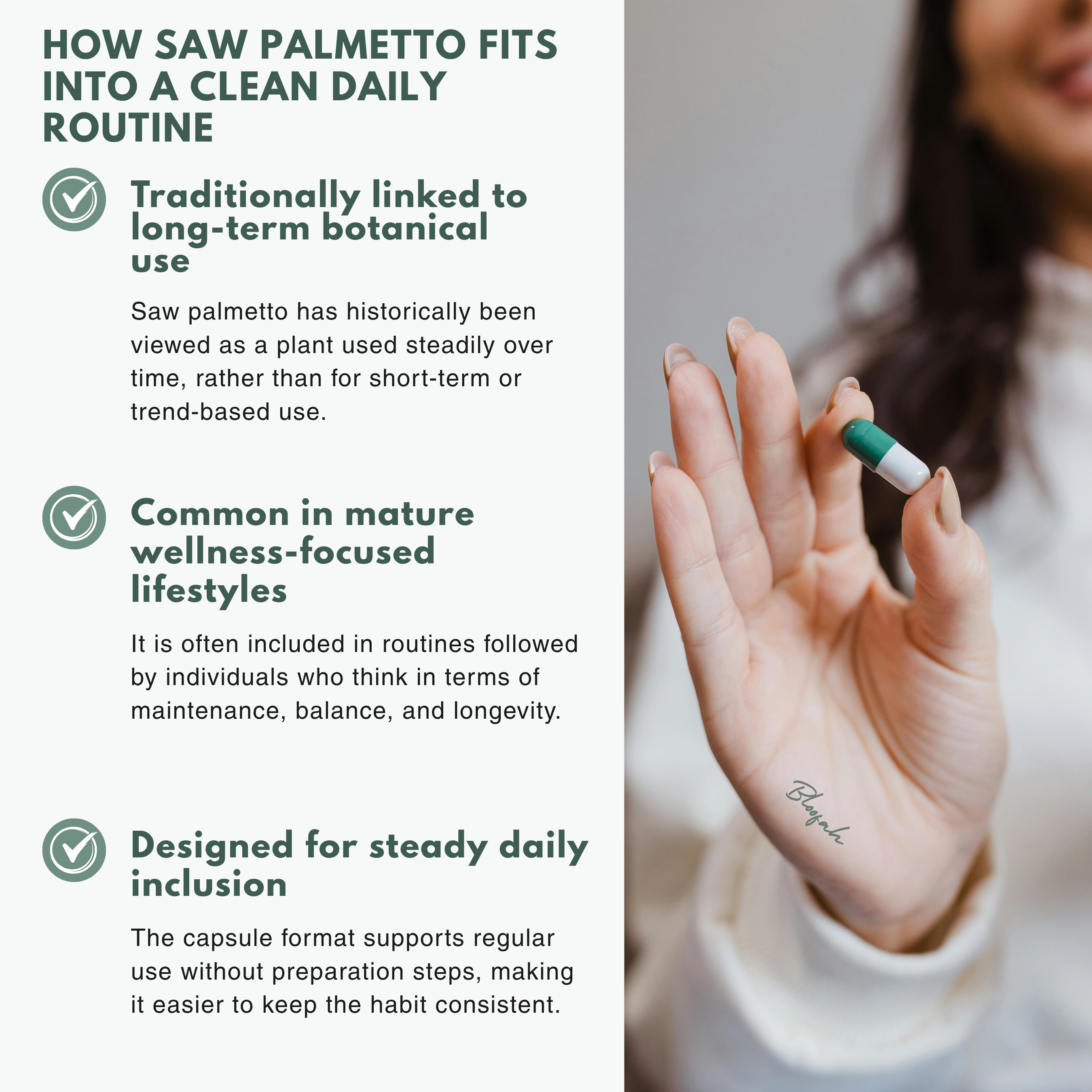 Bloofah SP Saw Palmetto Capsules 500mg | Serenoa repens Berry Extract | 120 Capsules